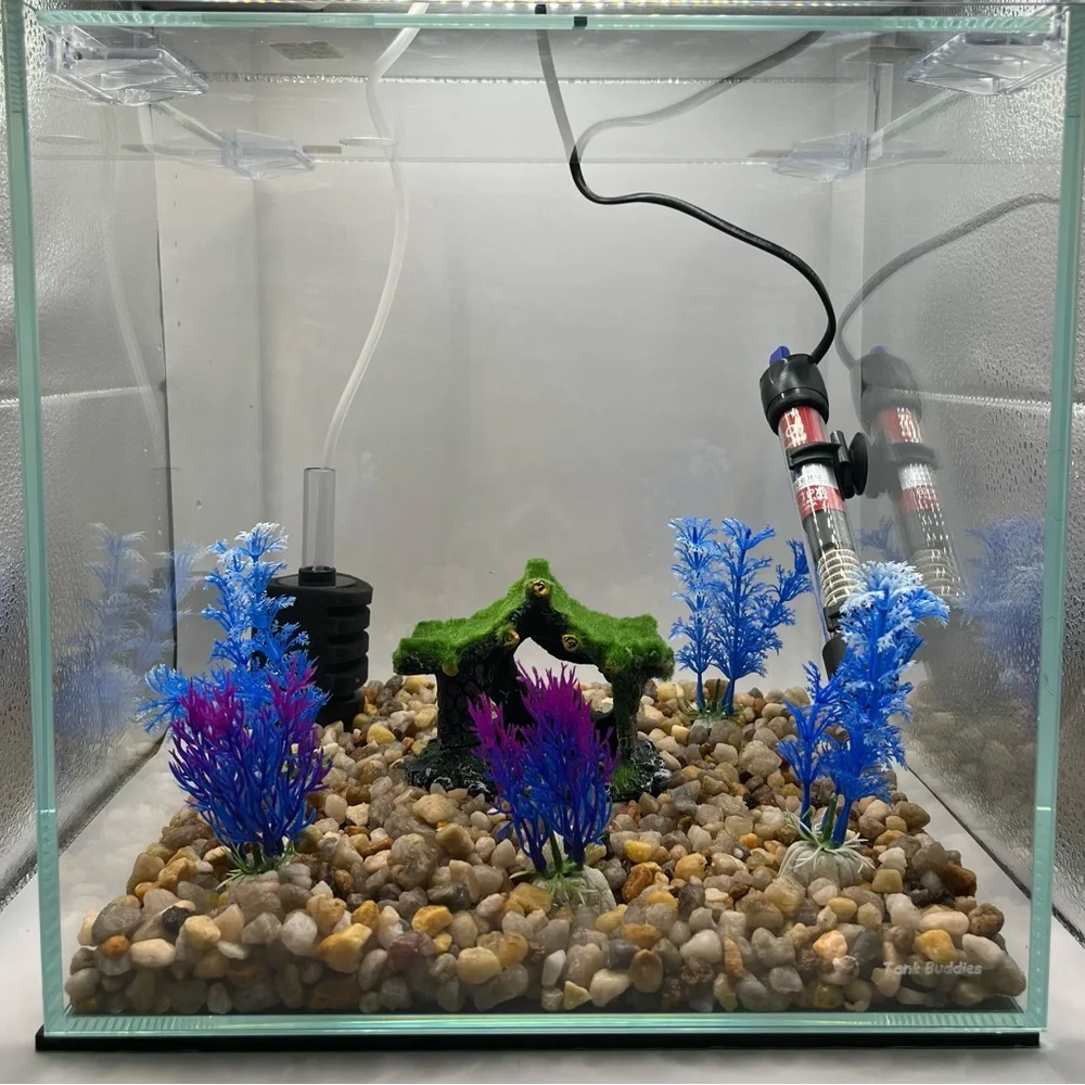 7 Gallon Unique Square Rimless Glass Aquarium Starter Kit.